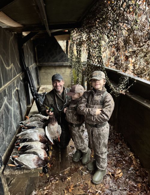 releasing mallard