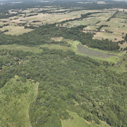DJI 20250809124025 0011 V