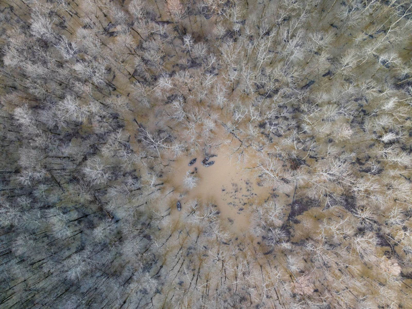 DJI 0962 Dylan Farrell