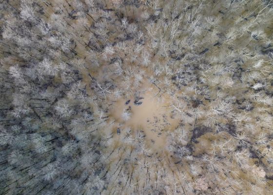 DJI 0962 Dylan Farrell