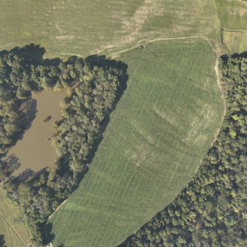 DJI 20251003161411 0025 V