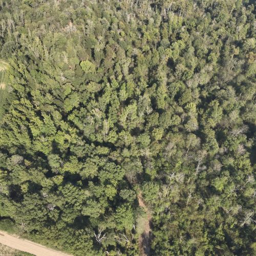 DJI 20251003161816 0032 V